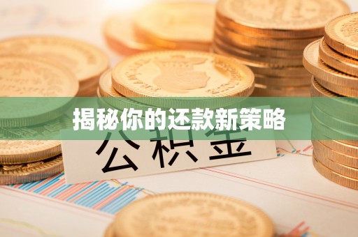 永兴揭秘你的还款新策略