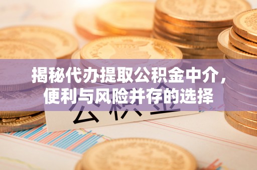 永兴揭秘代办提取公积金中介，便利与风险并存的选择