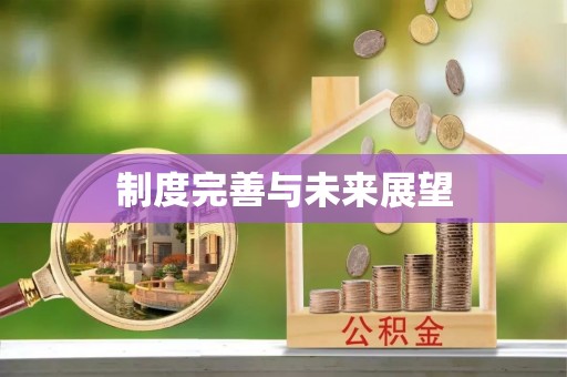 永兴制度完善与未来展望