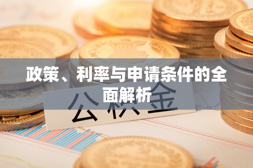 永兴政策、利率与申请条件的全面解析