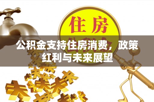 永兴公积金支持住房消费，政策红利与未来展望