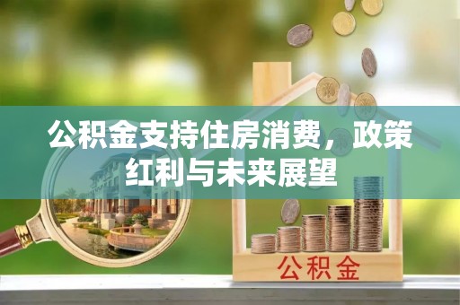 永兴公积金支持住房消费，政策红利与未来展望