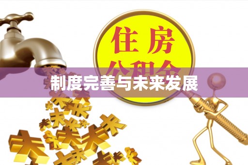 永兴制度完善与未来发展