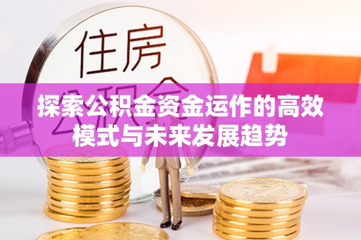 永兴探索公积金资金运作的高效模式与未来发展趋势