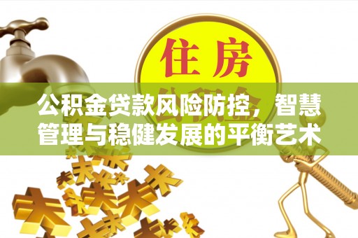 永兴公积金贷款风险防控，智慧管理与稳健发展的平衡艺术