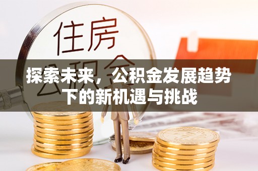 永兴探索未来，公积金发展趋势下的新机遇与挑战