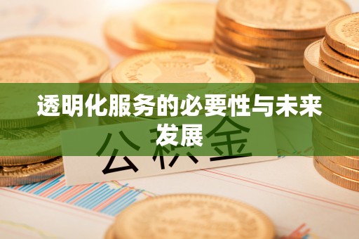 永兴透明化服务的必要性与未来发展