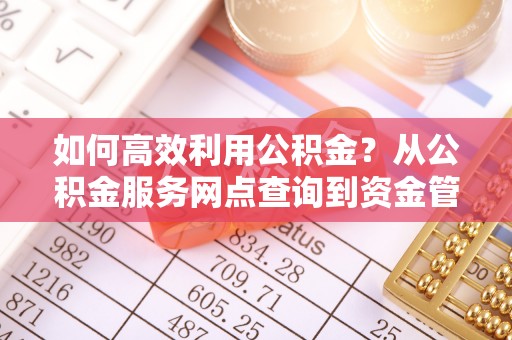 永兴如何高效利用公积金？从公积金服务网点查询到资金管理全攻略