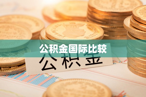 永兴公积金国际比较