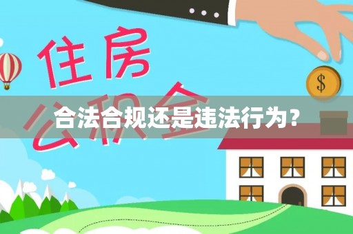 永兴合法合规还是违法行为？