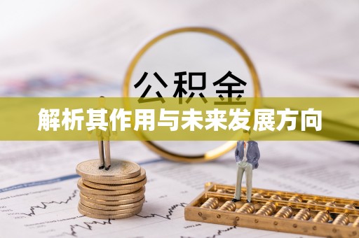 永兴解析其作用与未来发展方向