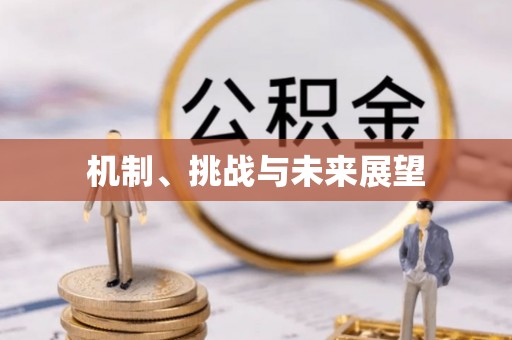 永兴机制、挑战与未来展望